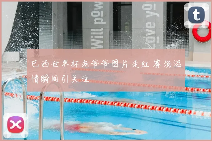 巴西世界杯老爷爷图片走红 赛场温情瞬间引关注