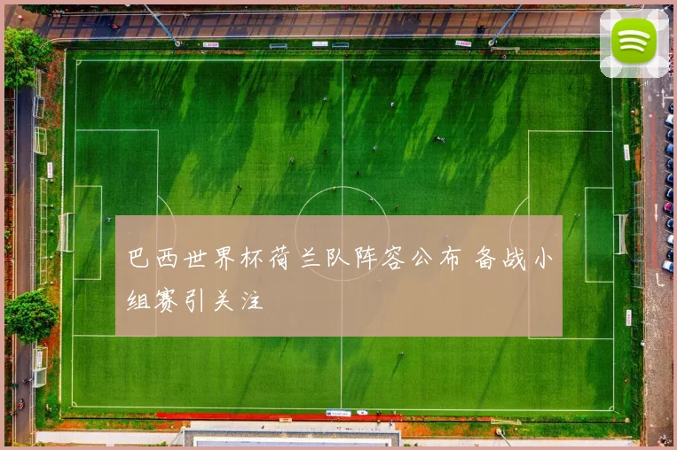 巴西世界杯荷兰队阵容公布 备战小组赛引关注
