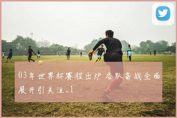 03年世界杯赛程出炉 各队备战全面展开引关注_1