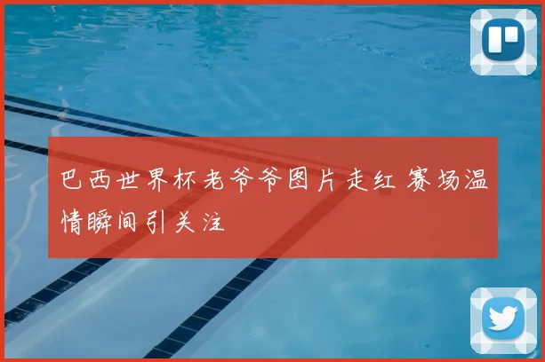 巴西世界杯老爷爷图片走红 赛场温情瞬间引关注